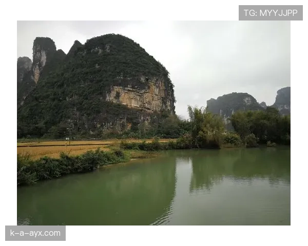 《从漏勺到铁闸：索汉防守端蜕变成为马刺新防线支柱》