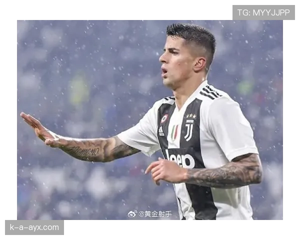 若昂·坎塞洛:英超冠军主力边后卫 若昂·坎塞洛:英超冠军主力边后卫