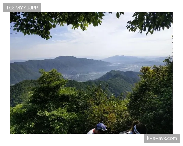 刷到邢傲伟家短视频，客厅那排鞋柜比我两年薪水还贵，瞬间怀疑人生